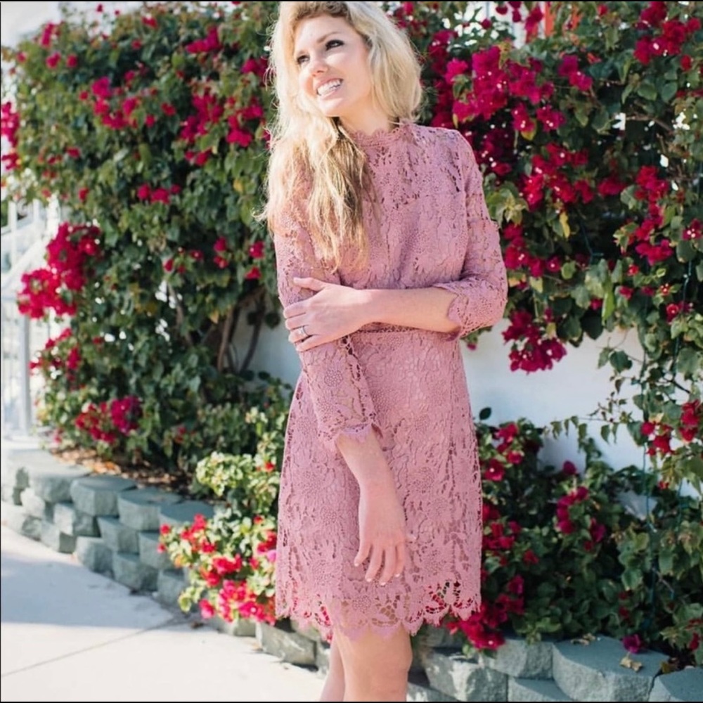 Banana Republic Floral Lace Dress, Pink
